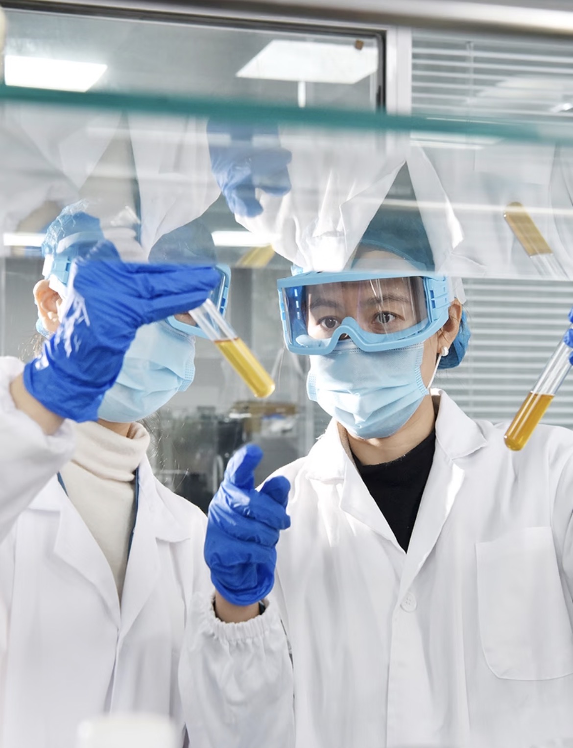 Laboratory specialists reviewing samples