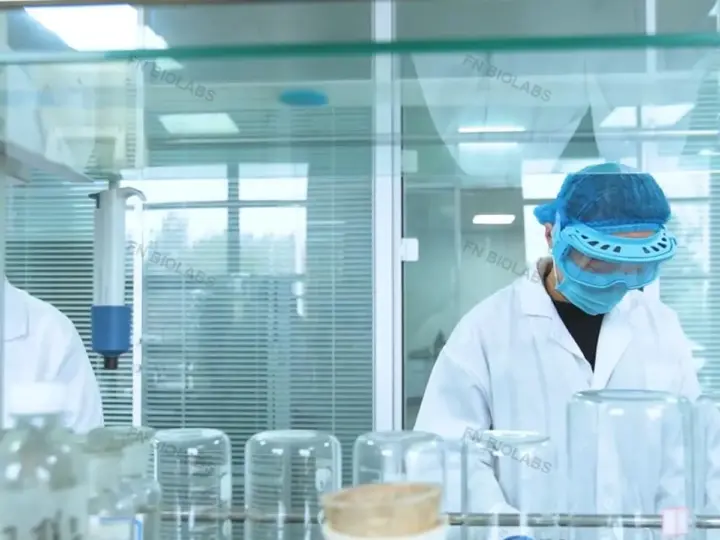 Laboratory staff working with glass vessels in a controlled room